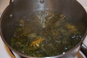 Paggamot ng mga varicose veins na may mga decoction